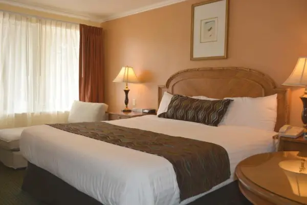 Oasis Inn and Suites 5